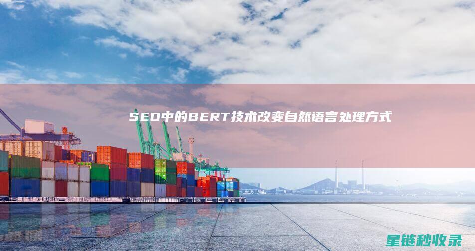 SEO中的BERT技术：改变自然语言处理方式 (SEO中的H标签是什么意思)