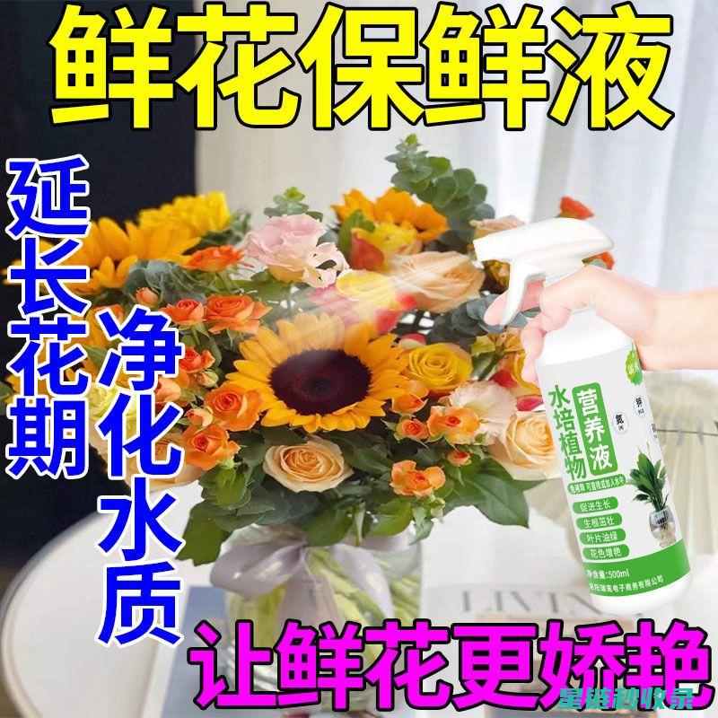 如何让鲜花保鲜更长久？掌握这些小窍门 (如何让鲜花保鲜时间更长)