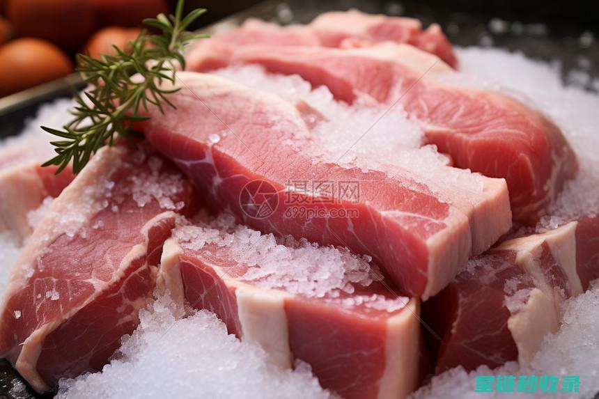 速冻肉类如何快速解冻不走味 (速冻肉类如何解冻)