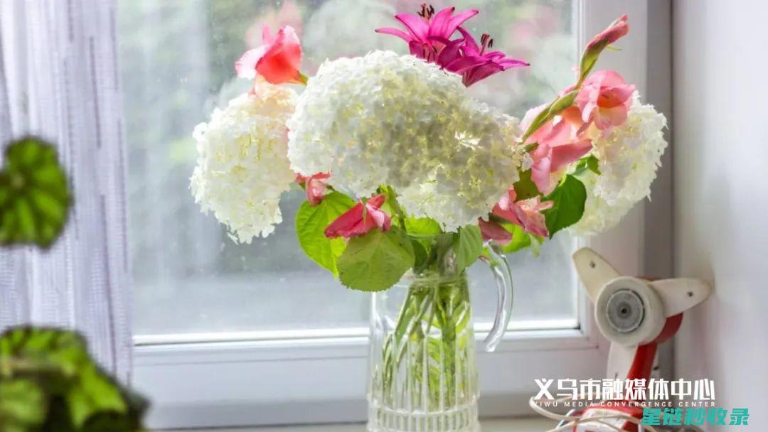 探索延长鲜花花期的多种方法：水培与土培的比较 (延长鲜花的保鲜期 蚂蚁庄园)