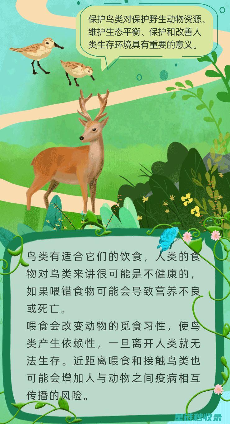 鸟类爱好者注意！如何正确清洁鸟笼，给宠物鸟一个健康舒适的家 (鸟类爱好者注意什么)