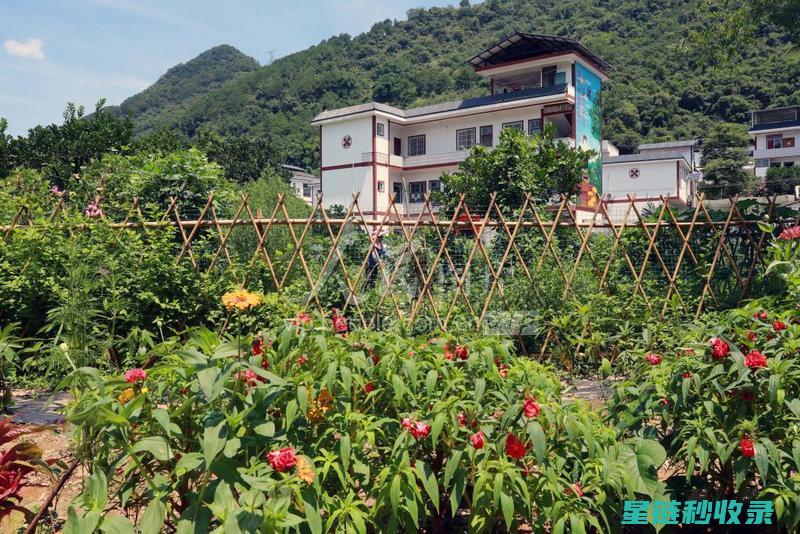 都市微田园：利用阳台空间打造绿色小天地 (都市小田园)