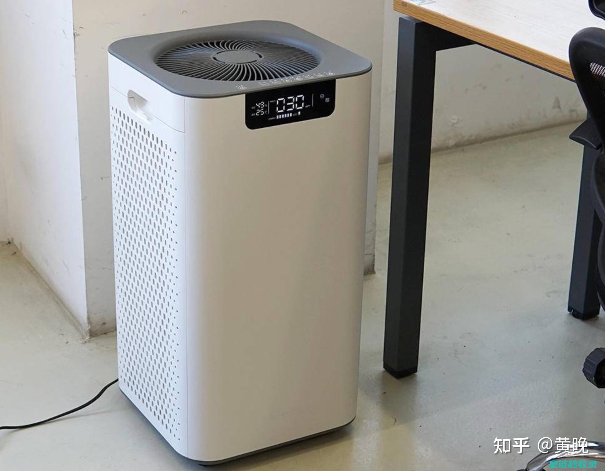 净化空气新选择：揭秘十大高效空气净化植物 (净化空气选什么植物)