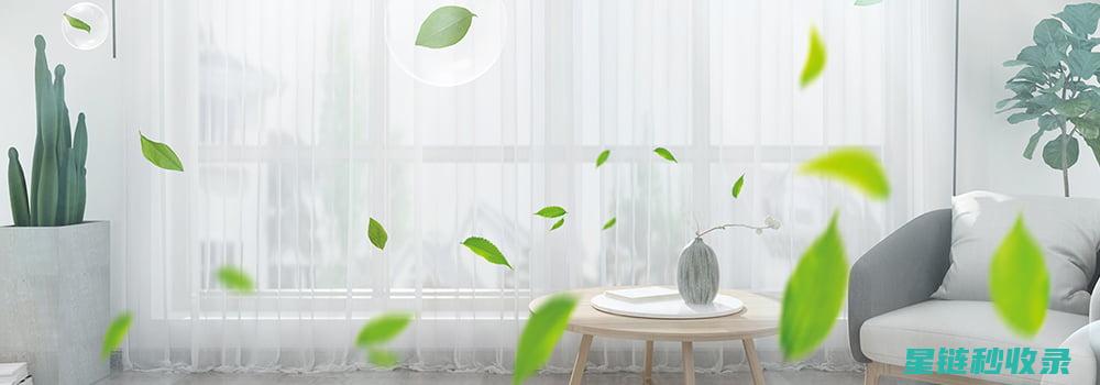 室内空气净化植物指南：打造清新呼吸环境 (室内空气净化的最佳方法)