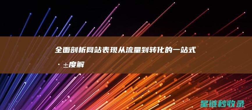 全面剖析网站表现：从流量到转化的一站式深度解读 (全面剖析网站是什么)