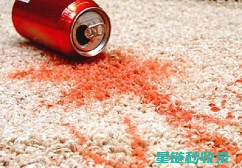 地毯污渍如何应对？专业去除技巧与家庭简易方案合集 (地毯污渍如何去除)