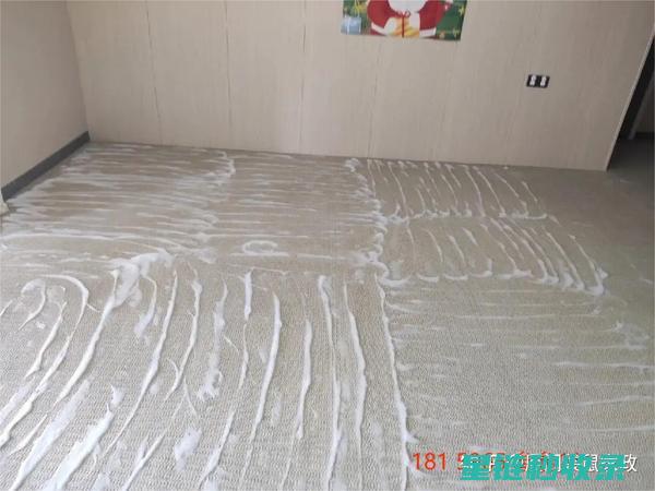 地毯污渍处理指南：各类污渍的专业去除技巧 (地毯污渍处理流程)