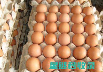 鸡蛋保鲜大揭秘：从选购到储存的全方位指南 (鸡蛋保鲜技术)