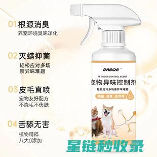 宠物异味去除全攻略：高效实用的清洁妙招 (宠物异味去除公司)