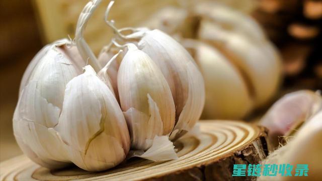 家庭中大蒜的最佳保存方法大揭秘 (家庭大蒜的保存方法简易贮藏法)