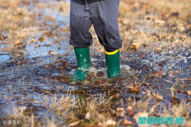 雨鞋脏了？别担心！这里有超实用的深度清洁指南 (雨鞋脏了用什么洗)