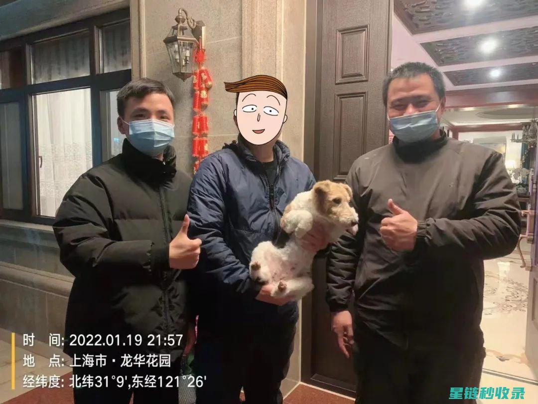深入探究宠物碗清洁：打造卫生健康的饮食环境 (深入探究宠物的特点)