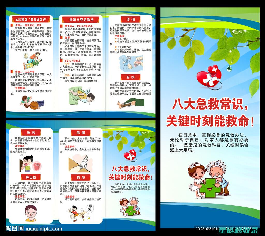 急救知识与常用药品整理指南 (急救知识与常识的区别)