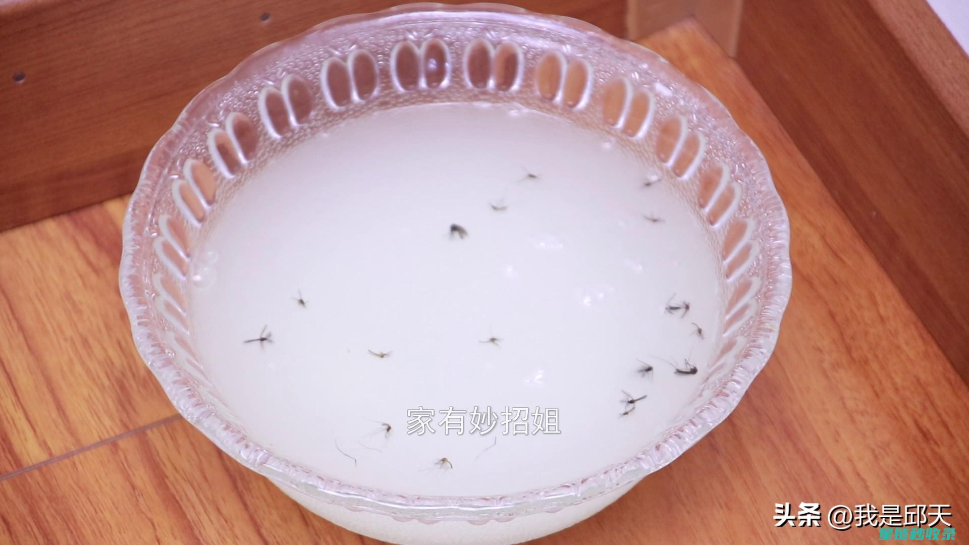家庭自制驱蚊液指南：简单有效的方法 (家庭自制驱蚊水配方)