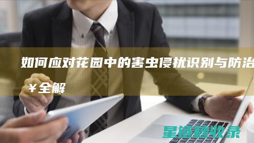 如何应对花园中的害虫侵扰：识别与防治策略全解析 (如何应对花园污染问题)