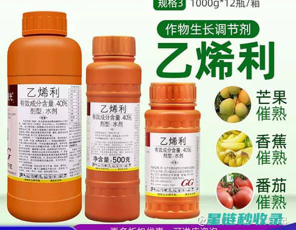 水果催熟技术：如何让水果更快达到最佳食用状态 (水果催熟技术员招聘)