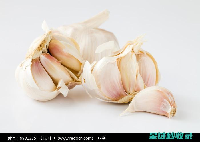 吃完大蒜后去除口腔异味的绝妙方法 (吃完大蒜去除大蒜味的好方法)