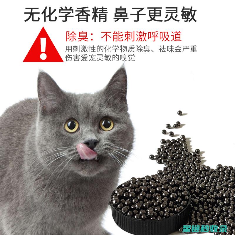 猫砂除臭新发现：这些方法超管用 (猫砂除臭效果)
