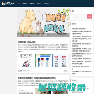 成都酒店装修公司 - 办公室装修/酒店设计 - 成都朗煜公装公司